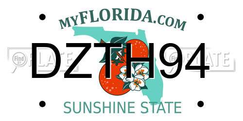 DZTH94 Florida License Plate