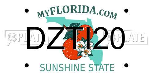 DZTI20 Florida License Plate