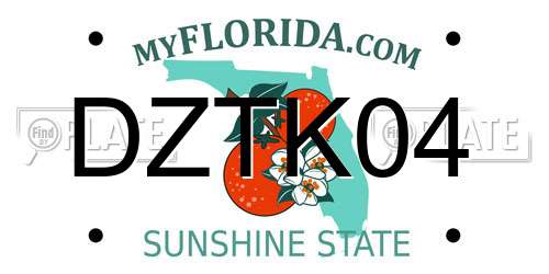 DZTK04 Florida License Plate