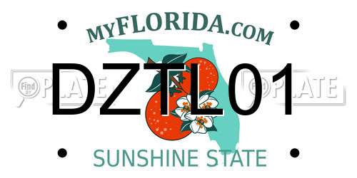 DZTL01 Florida License Plate