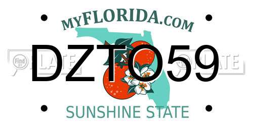 DZTO59 Florida License Plate