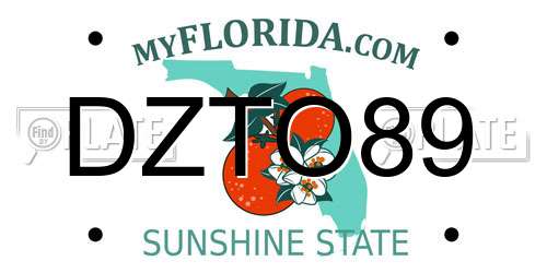 DZTO89 Florida License Plate