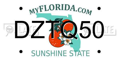 DZTQ50 Florida License Plate