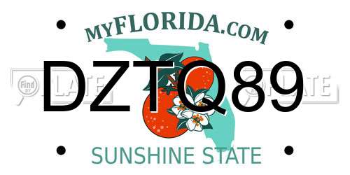 DZTQ89 Florida License Plate