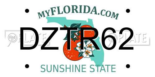 DZTR62 Florida License Plate