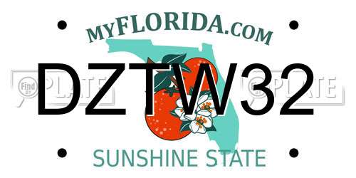 DZTW32 Florida License Plate