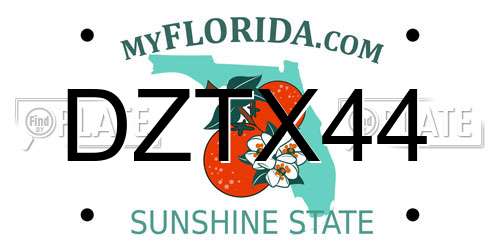 DZTX44 Florida License Plate