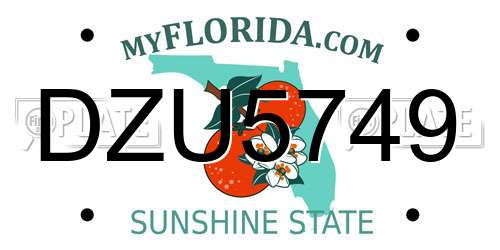 DZU5749 Florida License Plate