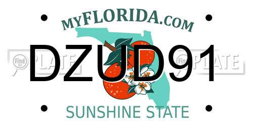 DZUD91 Florida License Plate