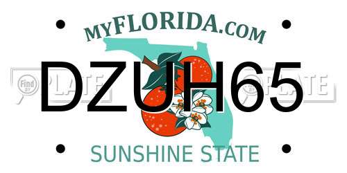 DZUH65 Florida License Plate