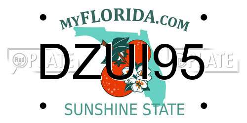 DZUI95 Florida License Plate