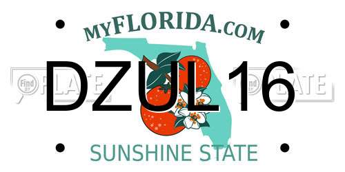 DZUL16 Florida License Plate