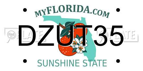 DZUT35 Florida License Plate