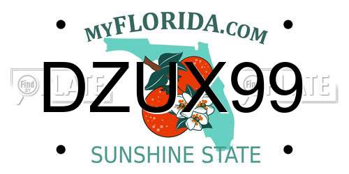 DZUX99 Florida License Plate
