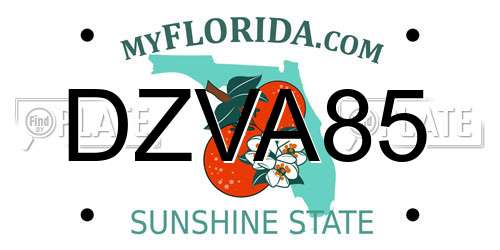 DZVA85 Florida License Plate