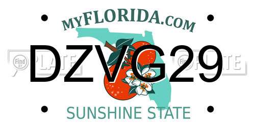 DZVG29 Florida License Plate