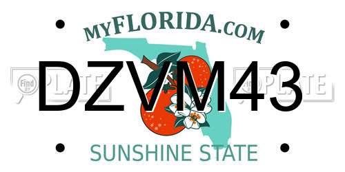DZVM43 Florida License Plate