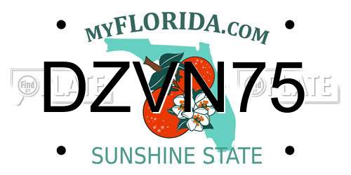 DZVN75 Florida License Plate