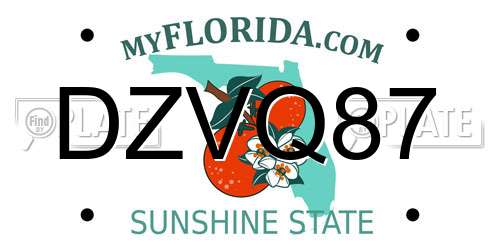 DZVQ87 Florida License Plate