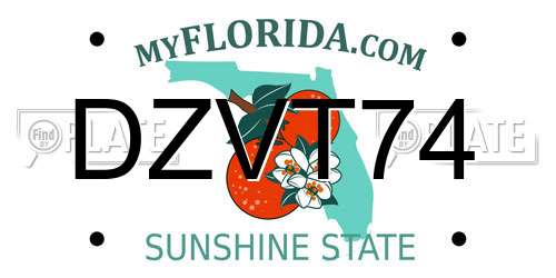 DZVT74 Florida License Plate