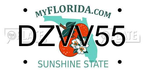 DZVV55 Florida License Plate