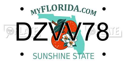 DZVV78 Florida License Plate