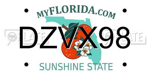 DZVX98 Florida License Plate