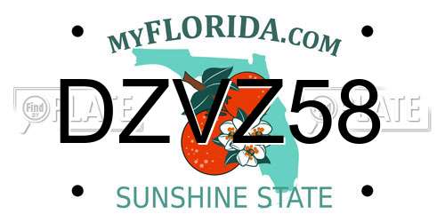 DZVZ58 Florida License Plate