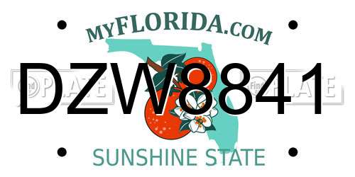 DZW8841 Florida License Plate