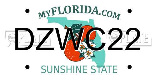 DZWC22 Florida License Plate