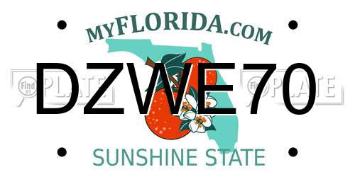 DZWE70 Florida License Plate