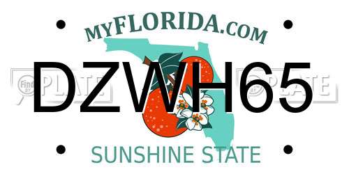 DZWH65 Florida License Plate