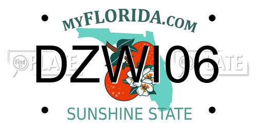 DZWI06 Florida License Plate
