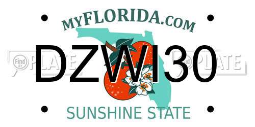 DZWI30 Florida License Plate