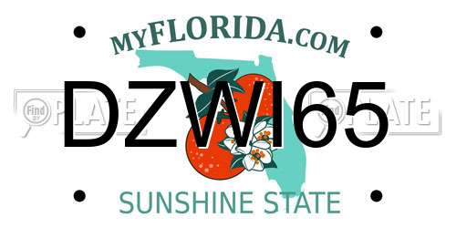DZWI65 Florida License Plate