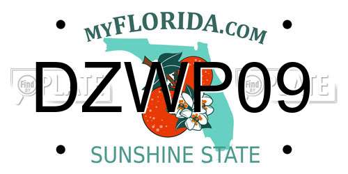DZWP09 Florida License Plate