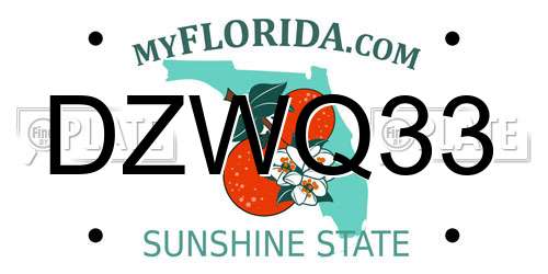 DZWQ33 Florida License Plate