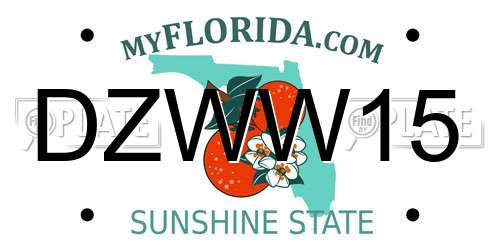 DZWW15 Florida License Plate