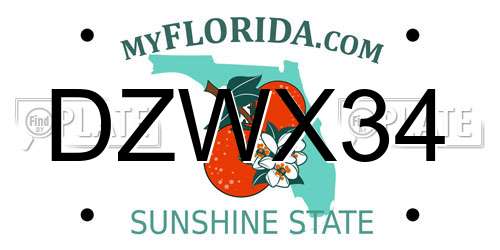 DZWX34 Florida License Plate