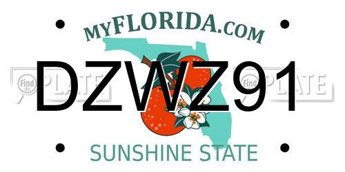 DZWZ91 Florida License Plate
