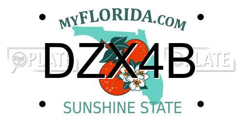 DZX4B Florida License Plate