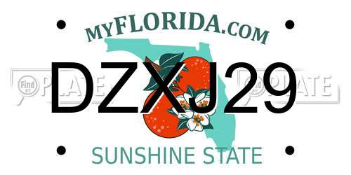 DZXJ29 Florida License Plate