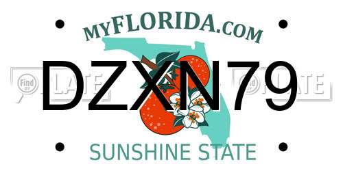DZXN79 Florida License Plate