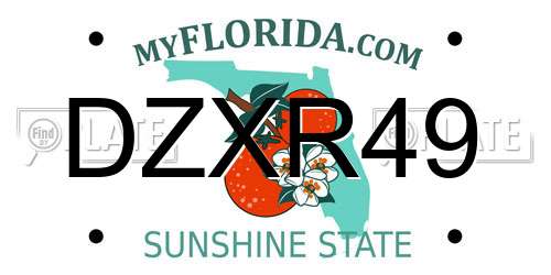 DZXR49 Florida License Plate