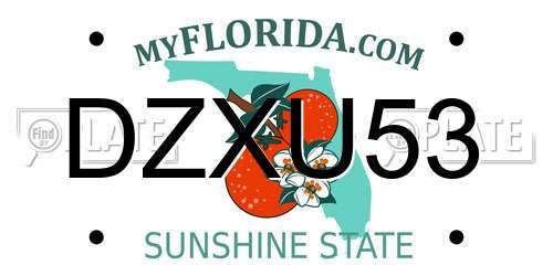 DZXU53 Florida License Plate