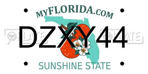 DZXY44 Florida License Plate