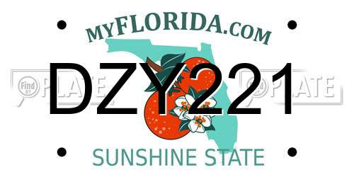DZY221 Florida License Plate