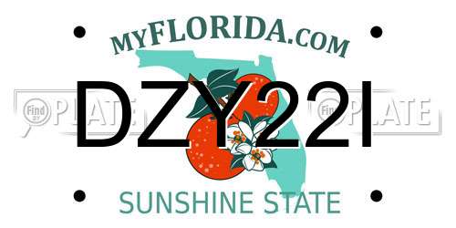 DZY22I Florida License Plate