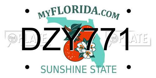DZY771 Florida License Plate