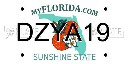 DZYA19 Florida License Plate